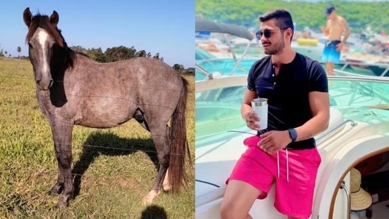 Reprodução/Redes Sociais
