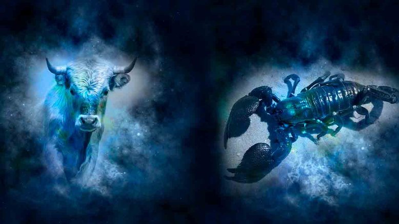 Combinação de signos – Touro e Escorpião. Foto: Pixabay