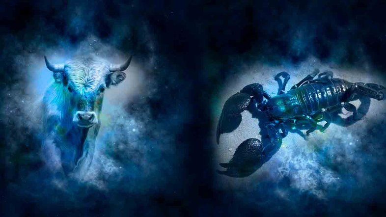 Combinação de signos – Touro e Escorpião. Foto: Pixabay