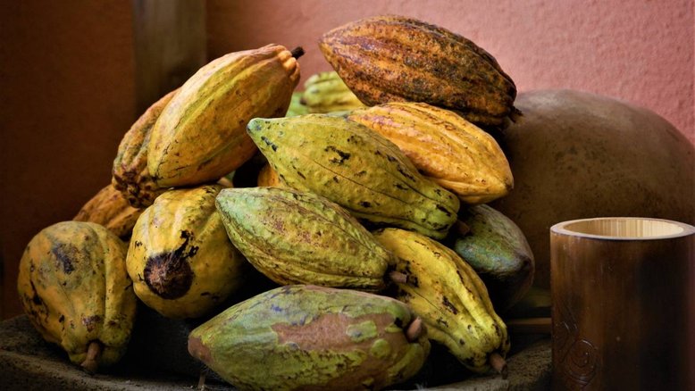 Piqsels