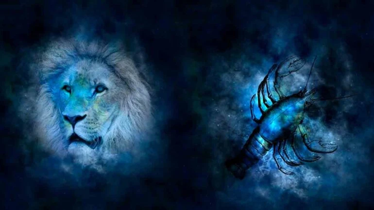 Combinação de signos – Leão e Câncer. Foto: Pixabay