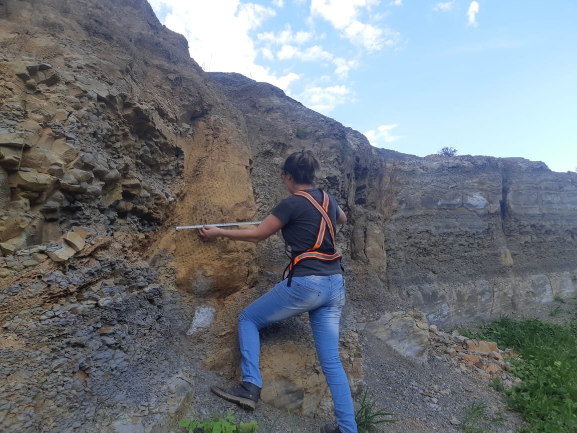 Pesquisadora descobre floresta fossilizada de 290 milhões de anos
