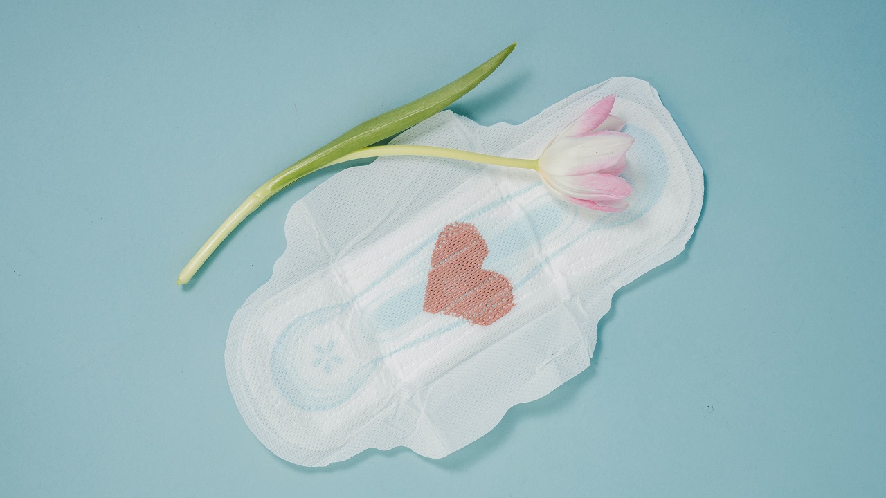 Tudo sobre menstruação: sintomas, TPM absorventes e dicas