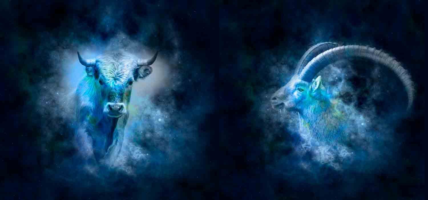 Combinação de signos – Touro e Capricórnio - ISTOÉ Independente