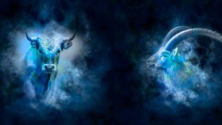 Combinação de signos – Touro e Capricórnio. Foto: Pixabay