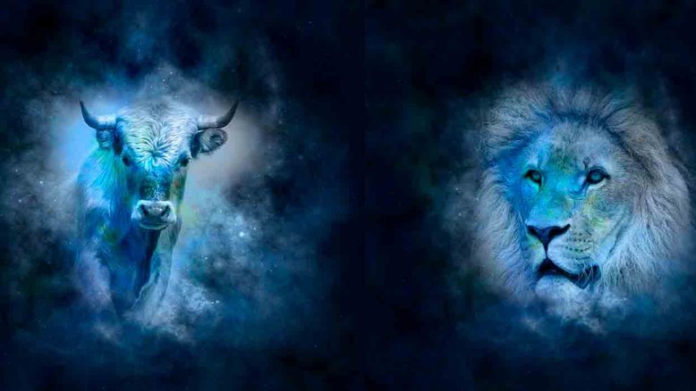Combinação de signos – Touro e Leão. Foto: Pixabay