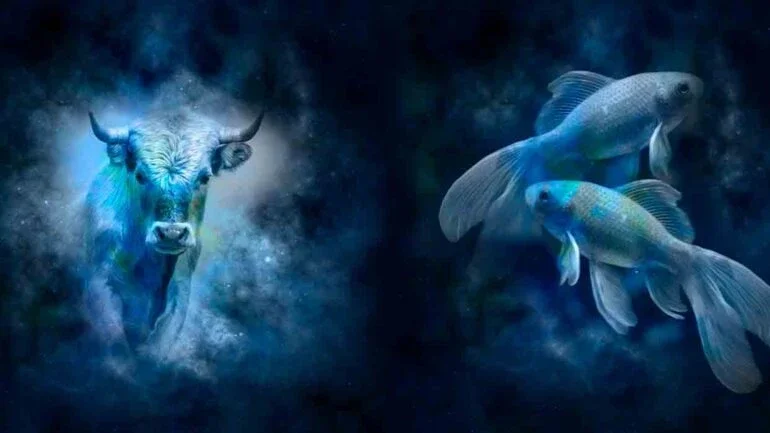 Combinação de signos – Peixes e Touro. Foto: Pixabay