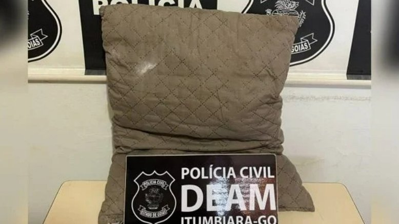 Divulgação/Polícia Civil de Goiás
