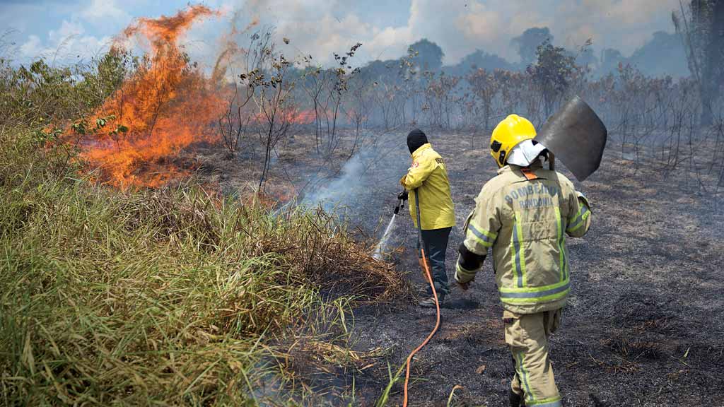 AMAZÔNIA Registro de 7.533 focos de incêndio: alta de 17%