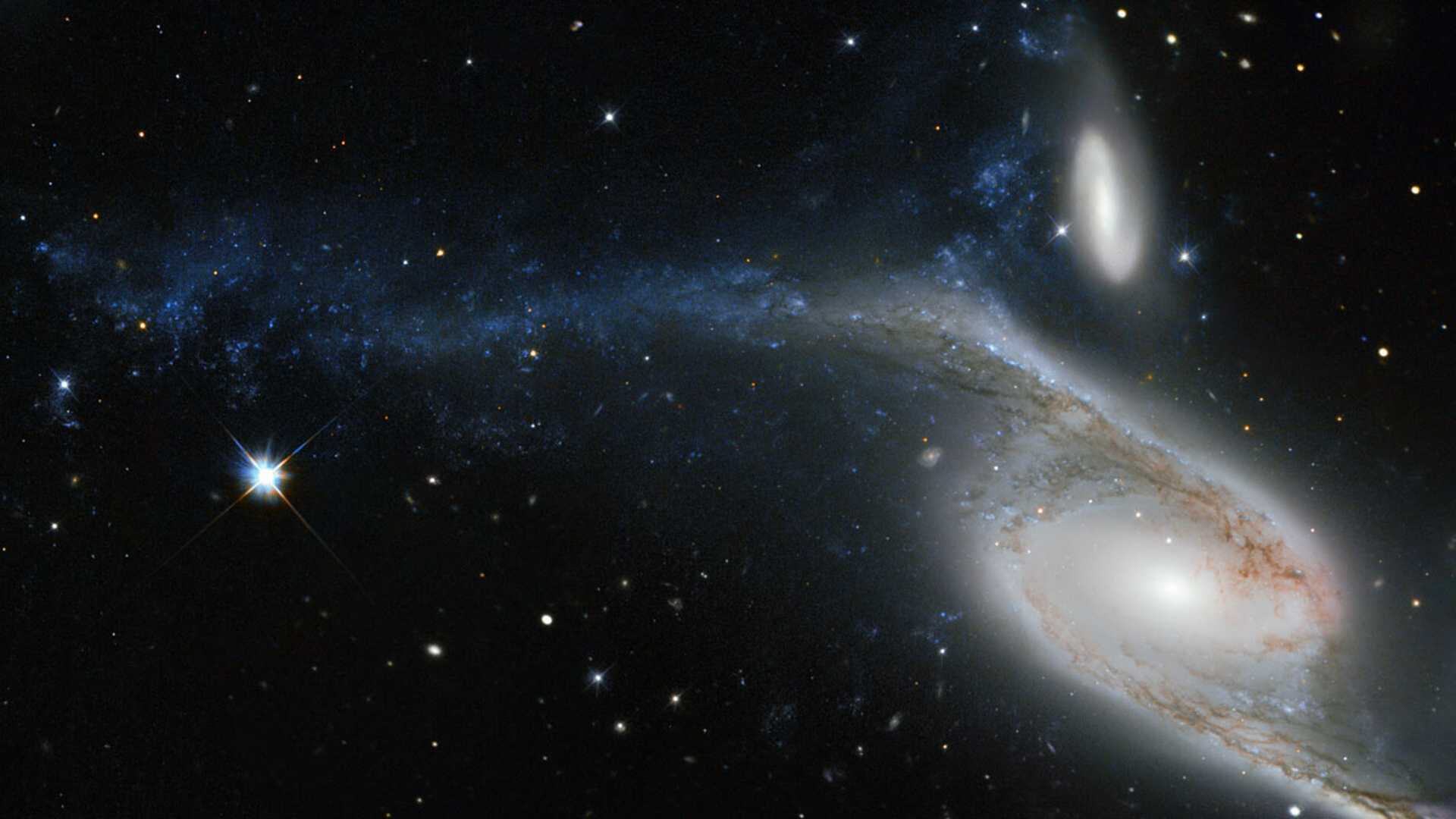 Esta imagem, feita pelo Telescópio Espacial Hubble da NASA/ESA, mostra a galáxia NGC 6872, na Constelação de Pavo. De ponta a ponta, NGC 6872 mede mais de 500 mil anos-luz de diâmetro, tornando-se a segunda maior galáxia espiral descoberta até hoje. O braço superior esquerdo está visivelmente distorcido e é povoado por regiões de formação de estrelas, que aparecem na cor azul. A forma incomum de NGC 6872 se dá pela interação com a galáxia menor IC 4970, vista logo acima. Ambas estão a cerca de 300 milhões de anos-luz da Terra