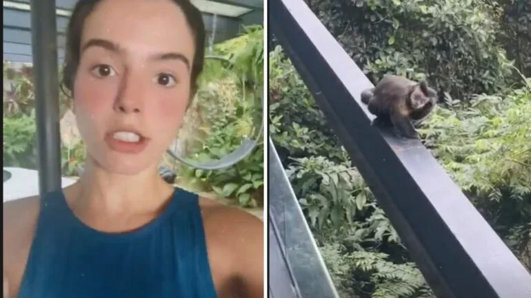 Reprodução/Instagram