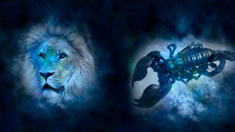 Combinação de signos – Leão e Escorpião. Foto: Pixabay