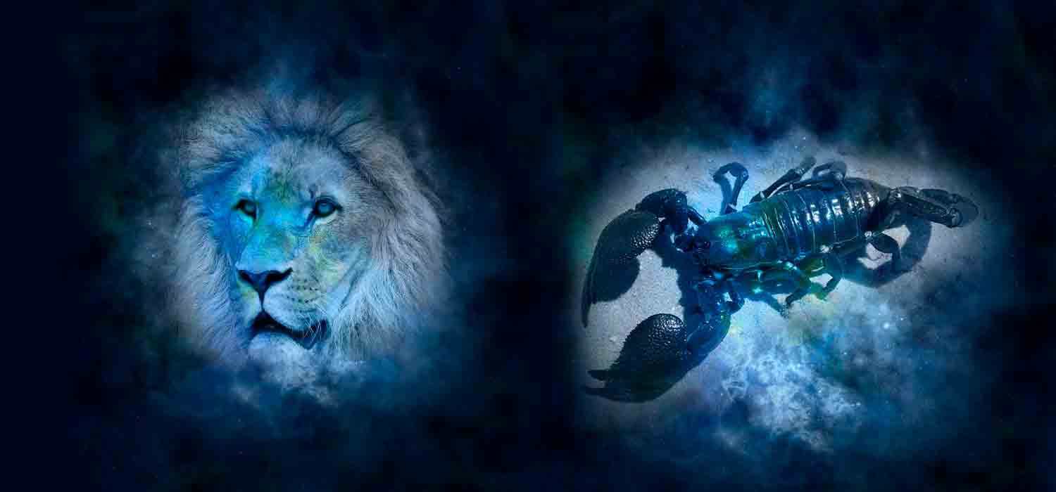 Combinação de signos – Leão e Escorpião. Foto: Pixabay