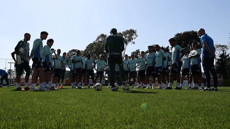 Cesar Greco/ Palmeiras