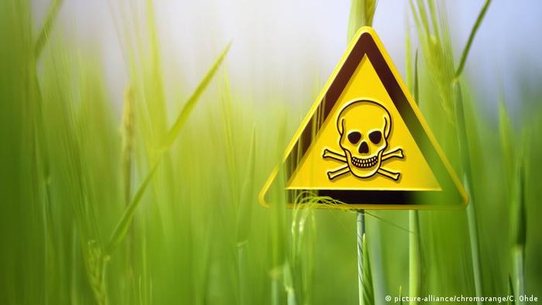 Anvisa proíbe uso do agrotóxico cancerígeno carbendazim