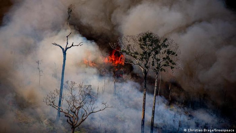 Amazônia tem 8% mais incêndios em julho em relação a 2021