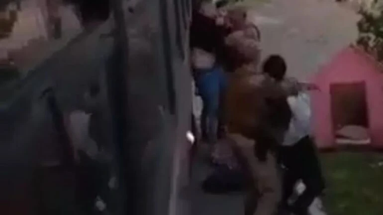 Reprodução