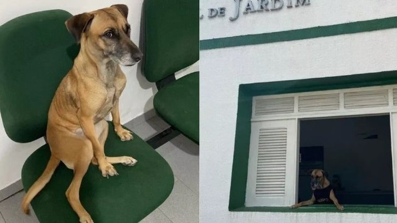Delegacia de Jardim