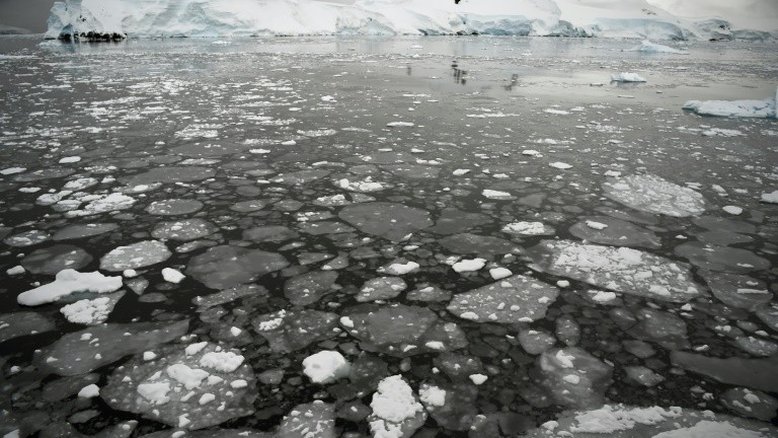 Camada de gelo marinho na Antártica caiu para níveis recordes em julho