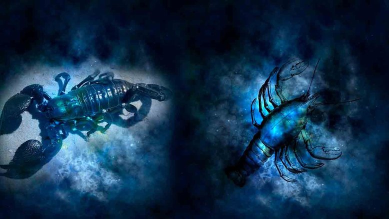 Combinação de signos – Escorpião e Câncer. Foto: Pixabay