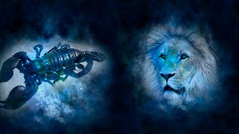 Combinação de signos – Escorpião e Leão. Foto: Pixabay