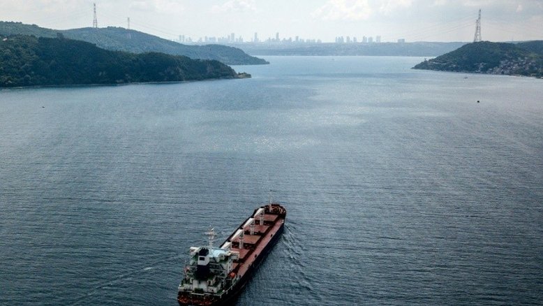 Primeiro navio com cereais ucranianos atraca na Turquia após encontrar novo comprador