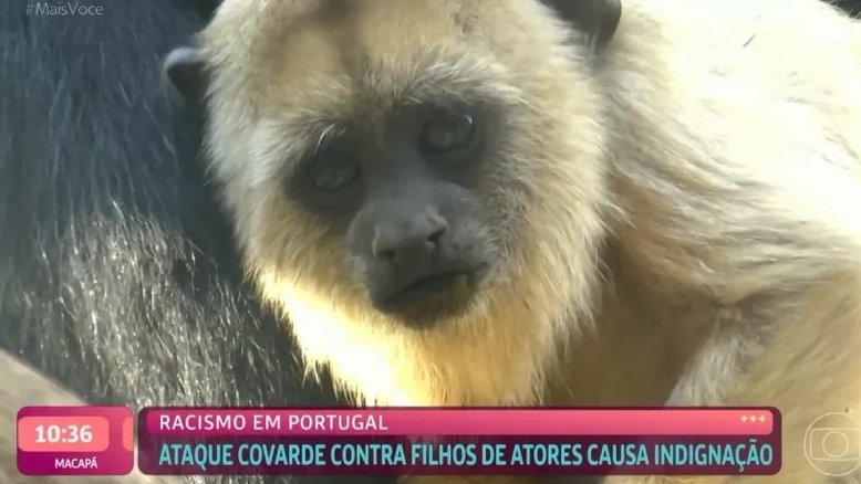 'Mais Você' exibe macaco ao comentar sobre caso de racismo contra filhos de Ewbank