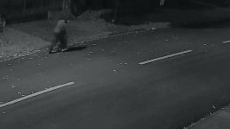 Vídeo: Câmera flagra mulher sendo arrastada para terreno; homem é preso por estupro
