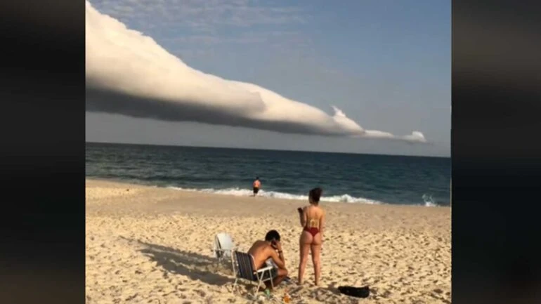 Reprodução/ TikTok