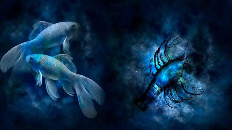 Combinação de signos – Peixes e Câncer. Foto: Pixabay