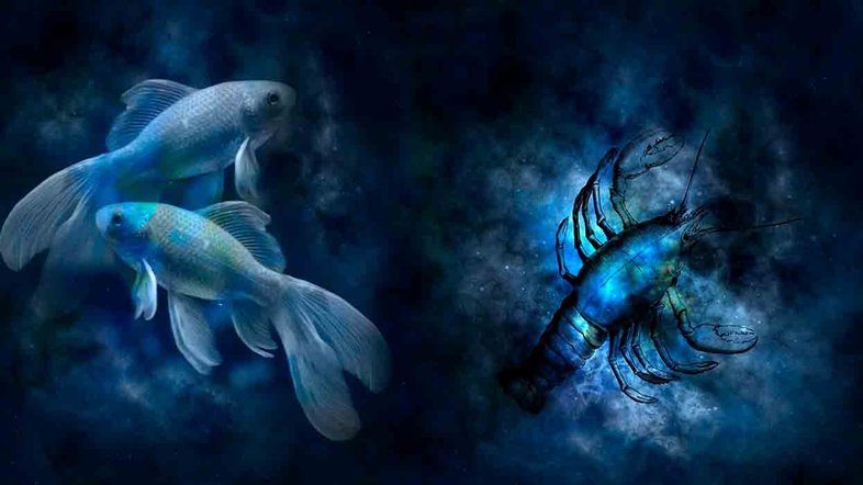 Combinação de signos – Peixes e Câncer. Foto: Pixabay