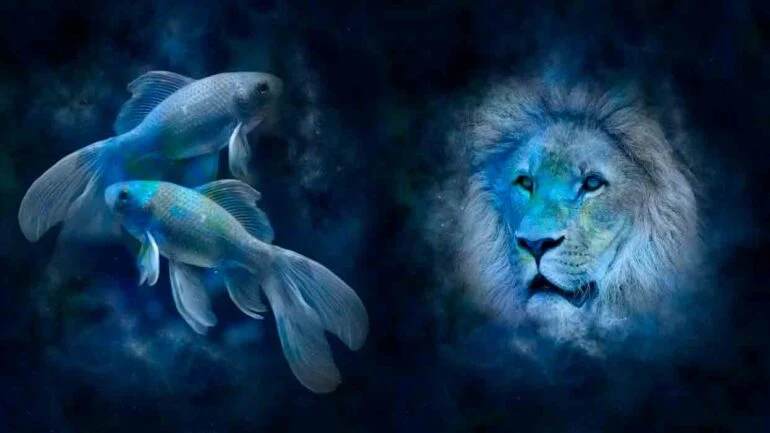 Combinação de signos – Peixes e Leão. Foto: Pixabay
