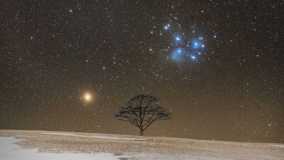 O ponto luminoso à esquerda da árvore é Marte, o planeta vermelho, que atualmente está sendo estudado pelo rover Perseverance, da NASA. À direita da árvore, vê-se as Plêiades, um aglomerado de estrelas azuis bastante brilhantes, na Constelação de Touro. Também conhecidas pelo nome de Messier 45 ou M45, as Plêiades constituem um conjunto de estrelas de alta temperatura e estima-se que sua formação tenha ocorrido nos últimos 100 milhões de anos. A uma distância de aproximadamente 444 anos-luz da Terra, elas representam um dos aglomerados estelares mais próximos. Esta bela imagem de Marte junto às Plêiades foi registrada em março de 2021, na região de Vinegar Hill, em Milford, Nova Escócia, Canadá.