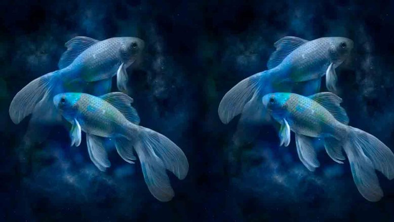 Combinação de signos – Peixes e Peixes