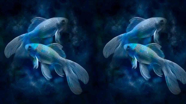 Combinação de signos – Peixes e Peixes