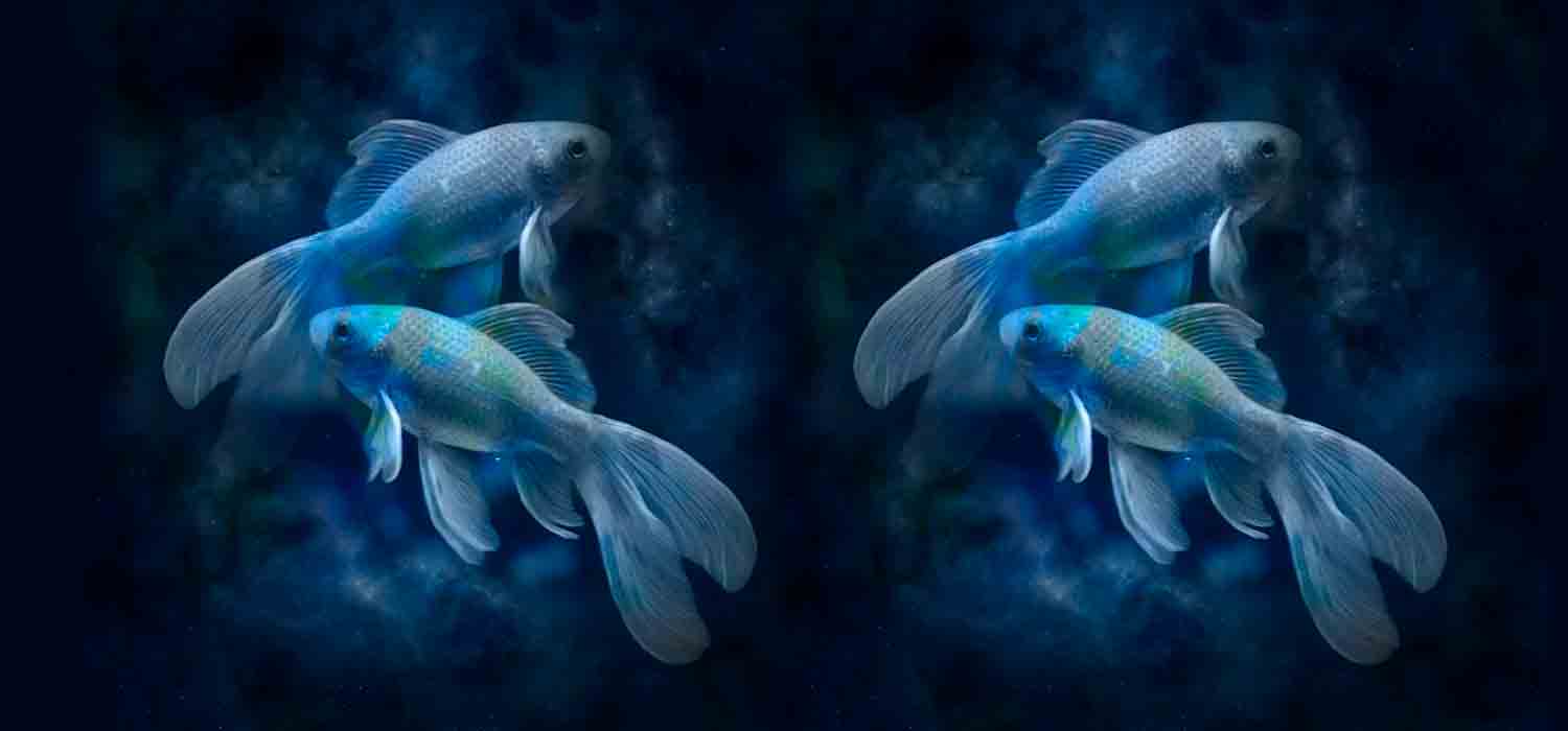 Combinação de signos – Peixes e Peixes