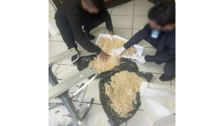 Arquivo pessoal
