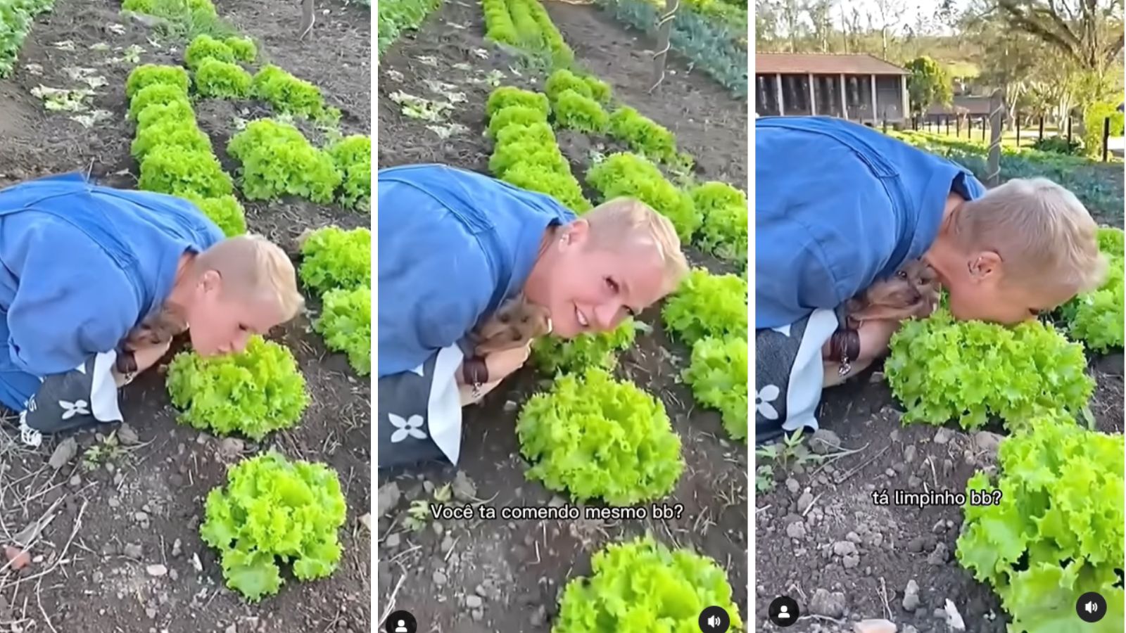 Xuxa se abaixa em horta e morde alface que ainda está plantado: ‘Vegano raiz’