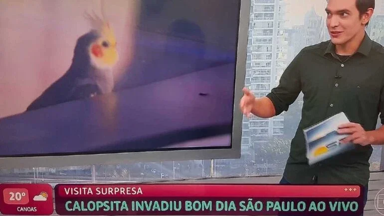 Pessoas 
