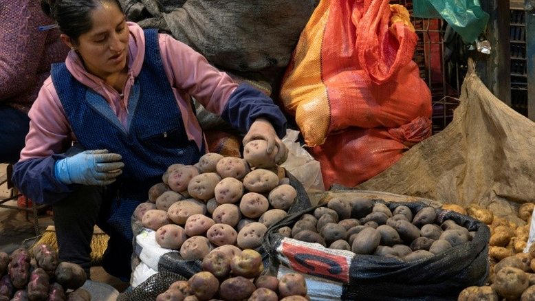'Não há vida' sem batatas para os peruanos, afogados pelos preços altos