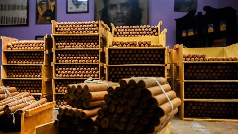 Fábrica de charutos de Fidel Castro mantém a tradição em Cuba