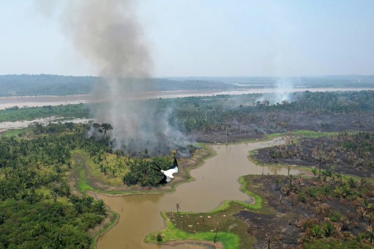 Amazônia queima na nova 'fronteira do desmatamento'
