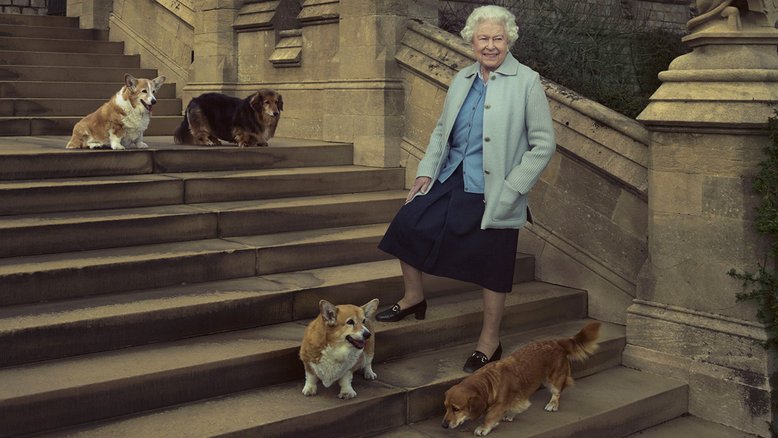 Amante dos animais, Rainha Elizabeth II teve mais de 30 cachorros