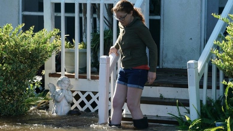 EUA registra aumento de casos de infecção por bactéria “comedora de carne” após furacão