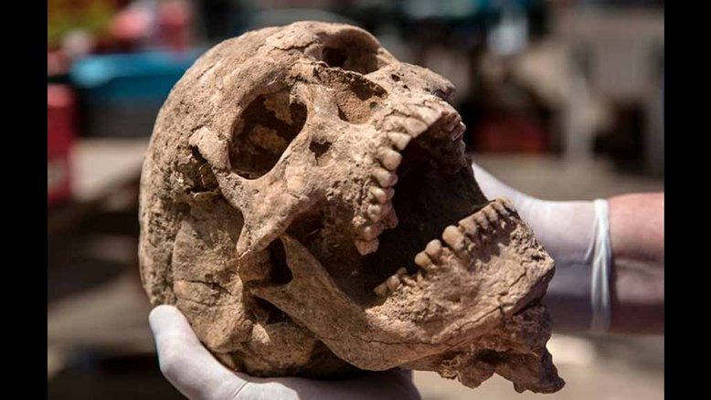 Expedição em Israel que já dura 30 anos encontrou restos de 160 indivíduos do povo filisteu / Foto: Expedição Leon Levy Expedition / Harvard