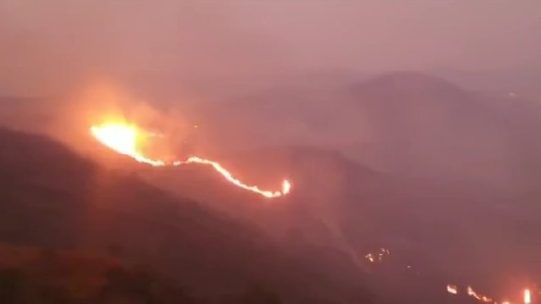 Incêndio destrói vegetação na Serra do Curral e na Serra da Moeda em MG