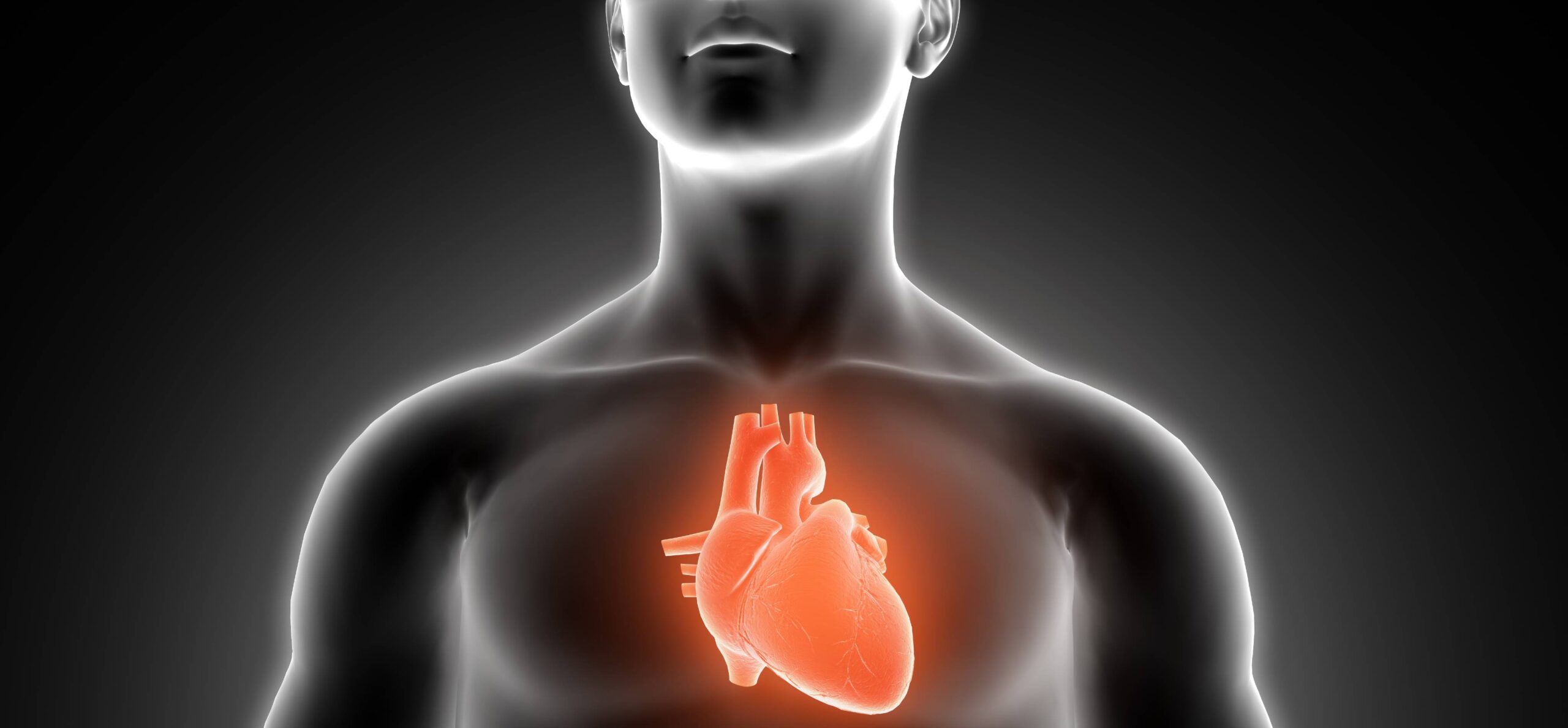 Saiba quais indicadores dos exames de sangue ajudam a monitorar a saúde do coração