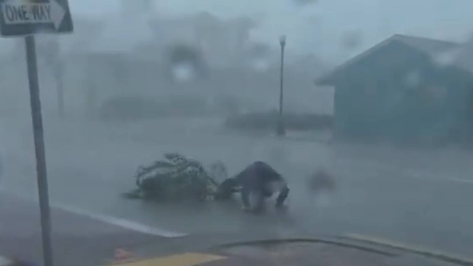 Vídeo: Meteorologista é atingido por galho de árvore durante furacão nos EUA