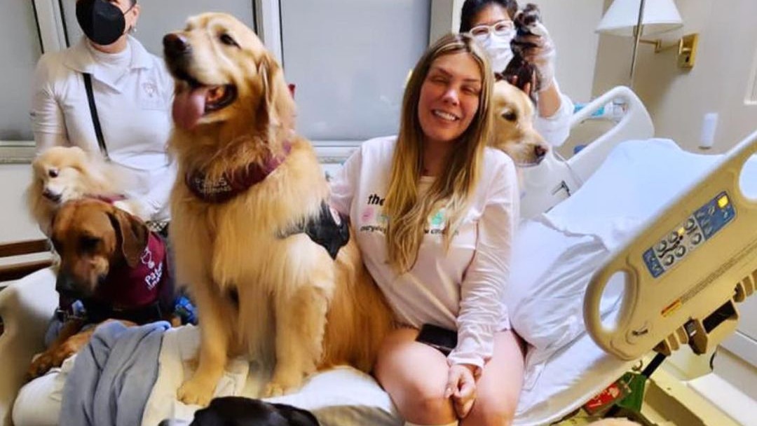 Cãoterapia: Entenda como cães são usados como auxiliares no tratamento de câncer