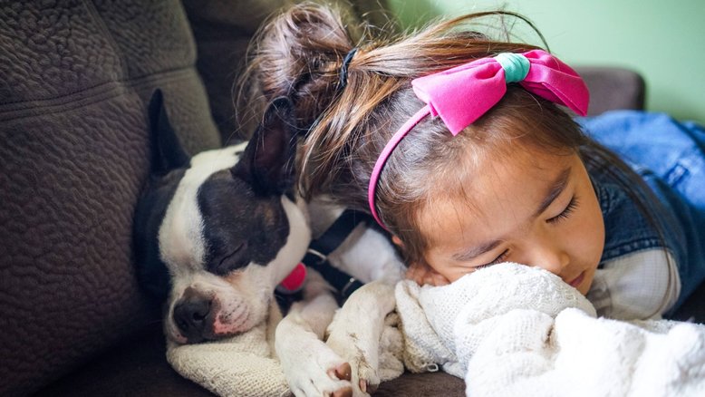 criança dormindo com cachorro